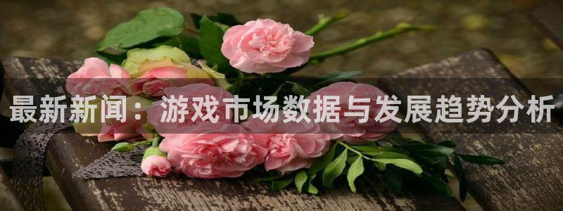 奇亿娱乐网址注册：最新新闻：游戏市场数据与发展趋势分析