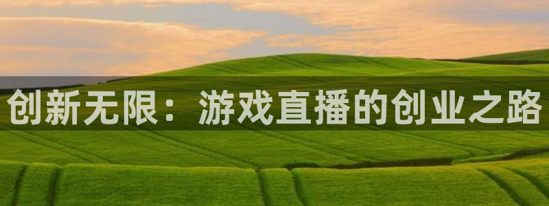 奇亿娱乐注册平台：创新无限：游戏直播的创业之路