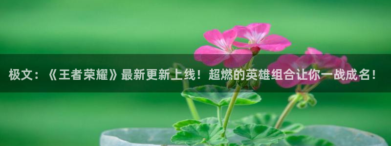 奇亿娱乐直属：极文：《王者荣耀》最新更新上线！超燃的英雄组合