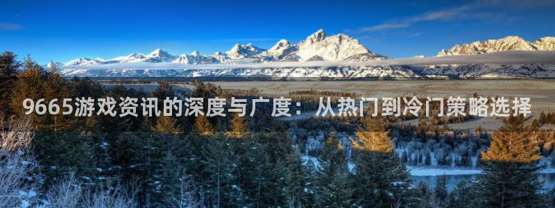 奇亿娱乐2首页登录：9665游戏资讯的深度与广度：从热门到冷