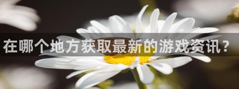 手机版奇亿娱乐客户端下载：在哪个地方获取最新的游戏资讯？