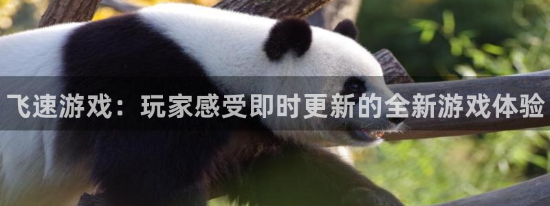 奇亿娱乐平台官网注册：飞速游戏：玩家感受即时更新的全新游戏体