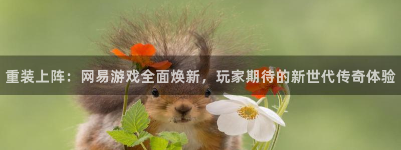 奇亿娱乐注册平台：重装上阵：网易游戏全面焕新，玩家期待的新世