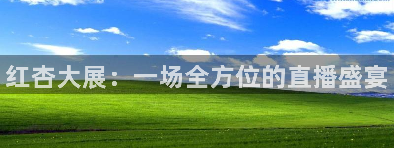 新球体育直播：红杏大展：一场全方位的直播盛宴
